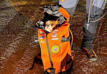 Recuperato escursionista assieme al suo cane Recuperato escursionista assieme al suo cane