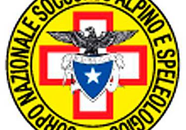 Cnsas_Logo 1 Cnsas_Logo 1